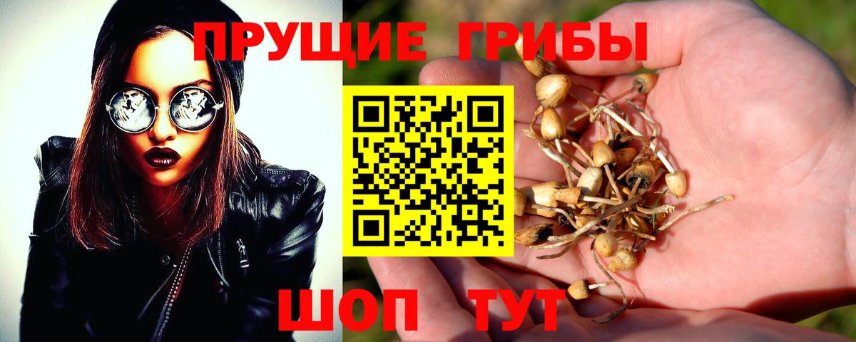 Первоуральск  Галлюциногенные грибы Psilocybine cubensis  Галлюциногенные грибы Psilocybe  Вход с VPN 